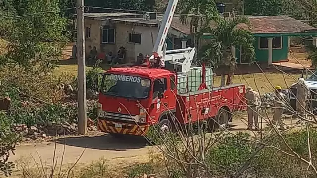Apagón en Tinún: caída de árbol afecta electricidad y suministro de agua
