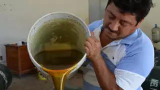 Apicultores enfrentan doble golpe: baja producción y precios bajos