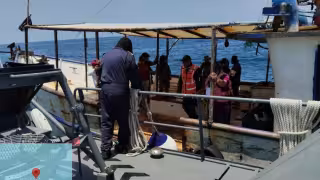 Armada de México refuerza vigilancia en Yucatán para frenar la captura ilegal de la cacerolita de mar