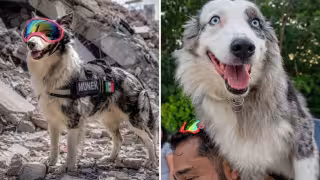 Munek partió con la Brigada de Rescate Internacional Cancún hace un par de días
