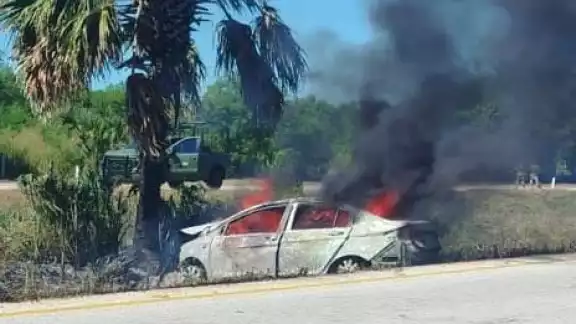 El vehículo salió de la carretera, chocó contra una palmera y estalló en llamas. El vehículo salió de la carretera, chocó contra una palmera y estalló en llamas.