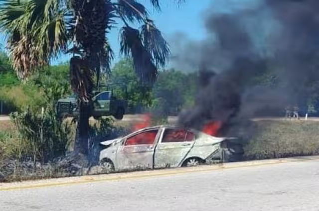 El vehículo salió de la carretera, chocó contra una palmera y estalló en llamas.