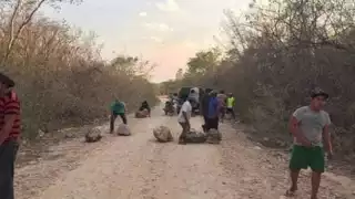 Con frecuencia se despeja de hierba el tramo ante la falta de respuesta