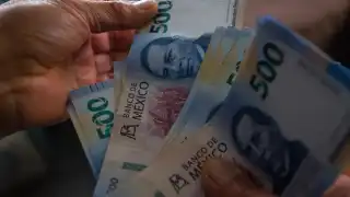 A diferencia de entidades con migración masiva y reciente, Yucatán presenta un flujo más sostenido