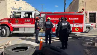 Confunden zarigüeya muerta con una fuga de gas en la calle 62 del Centro de Mérida 