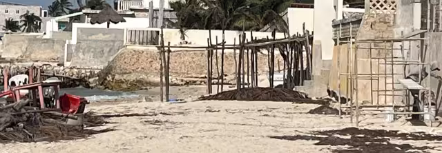 Habitantes de Chelem retiran maderas que invadían la playa, colocadas por una estadounidense