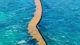 La barrera evita la llegada del sargazo a la orilla de las playas, manteniéndolas limpias