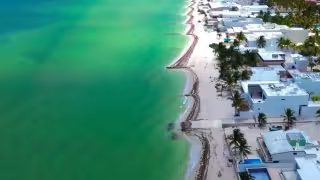 Costa yucateca crece bajo riesgo: fraccionamientos y plusvalía avanzan sobre zonas inundables y de manglar
