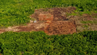 El suelo yucateco se deteriora mientras el marco normativo busca respuestas ante la deforestación