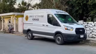 Denuncian envenenamiento de 10 perros y gatos en Cacalchén