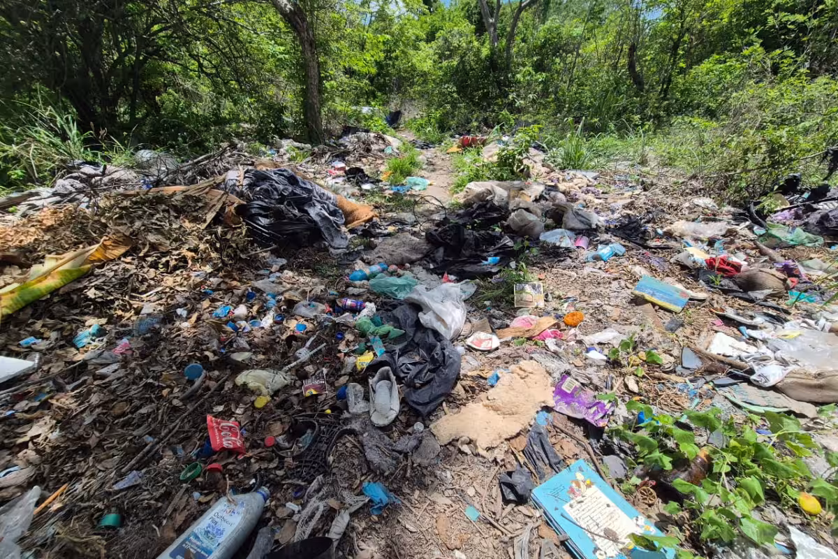 Vecinos denuncian predio repleto de basura y animales muertos en ...