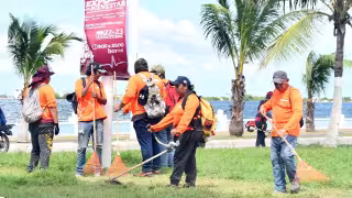 Go Verdi desmiente que una trabajadora haya fallecido por golpe de calor