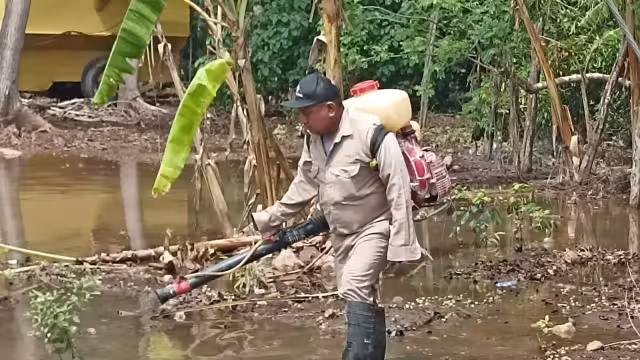 Han reforzado trabajos de prevención en escuelas