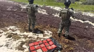 Efectivos de la Infantería de Marina detectaron envoltorios sospechosos durante un operativo