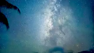 Los recorridos que ofrecen prestadores de servicios tienen un costo promedio de 300 pesos por persona