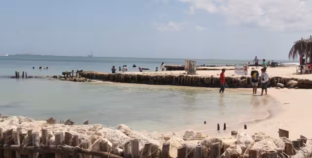 El Gobierno del Estado y especialistas desarrollan pruebas para combatir la erosión y proteger la fauna