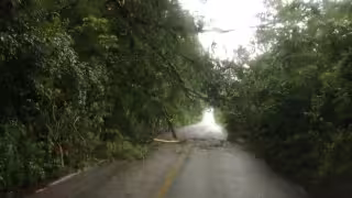 Las ramas de un árbol cayeron sobre la carretera Xbacab-Pixoyal.