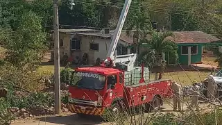 Apagón en Tinún: caída de árbol afecta electricidad y suministro de agua