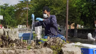 Bachoco y Crío, bajo fuego por contaminación, deforestación y tiraderos en Yucatán