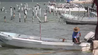 Cinco días sin salir a la mar afectan economía de pescadores
