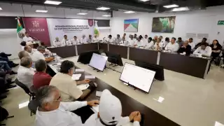 Joaquín Díaz Mena dijo que se tomarán medidas, como baños con larvicidas, inspecciones en rutas y embarques