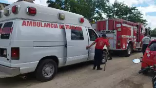 Sujeto machetea un perro en José María Morelos; su vecino procederá una denuncia por maltrato animal