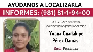 Desaparece menor de 14 años en Palizada; piden ayuda para localizarla