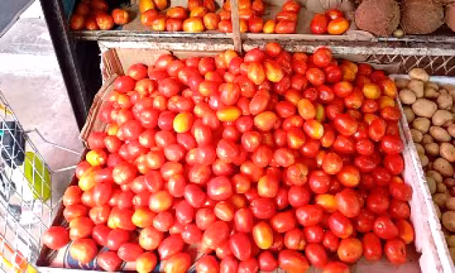 Tomate alcanza hasta 65 pesos en fruterías de la periferia