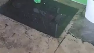 Acusan a administradora de negligencia por rebosamiento de drenajes en Campeche