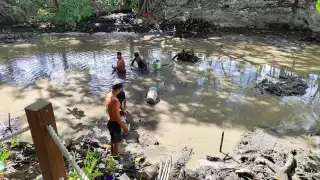 Jóvenes limpian cenote de Rancho Viejo en Cancún; encuentran   vidrio, plástico y huesos de animales