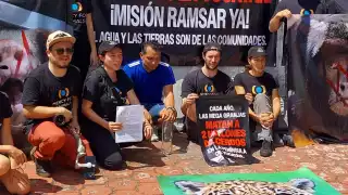 Activistas exigen a la Semarnat  frenar las granjas porcícolas en Yucatán