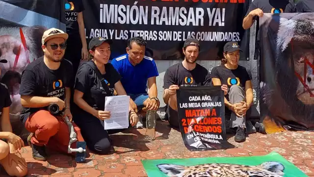 Activistas protestan contra el daño ecológico de la cría de cerdos y aves, y la depredación de inmobiliarias