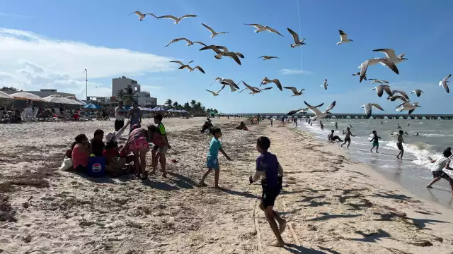 Protección Civil alertó por las altas temperaturas que se registrarán este sábado