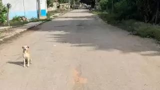 Cobradores de Banco Azteca acudieron con la policía a un domicilio en Dziuché para cobrar una deuda