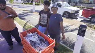 Inicio de cuaresma anima a los pescadores de Campeche, tras mes y medio de crisis