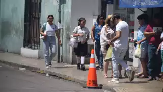 Mérida  concentra más de 50 botones “Ko’olel Salva” que ofrecen protección inmediata a mujeres en riesgo