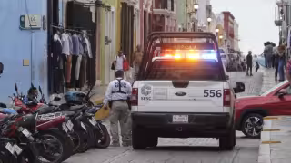 Trabajador sufre ataque de abejas en predio del Centro Histórico.