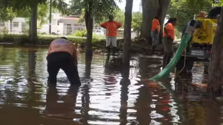 Sedumop limpia dren obstruido tras severas lluvias en Campeche