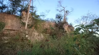 Entre maleza y abandono: así se pierde el potencial turístico de Hopelchén