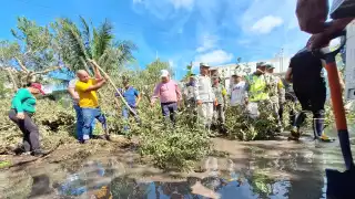 Cerca de 350 personas se unen al programa ‘Echémosle Montón’ en apoyo a Celestún