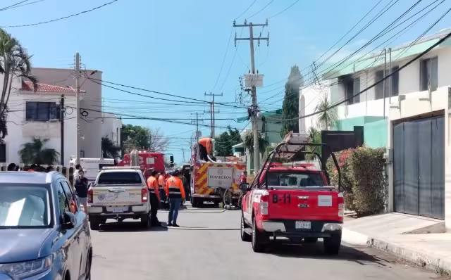 Autoridades investigan causas de incendio en predio de Campeche