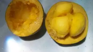 Los pobladores han comenzado a preocuparse por la posible extinción de esta fruta