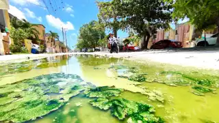 Tras las fuertes lluvias en las calles se acumula el agua, que con el paso de los días queda verdosa y con pésimo olor
