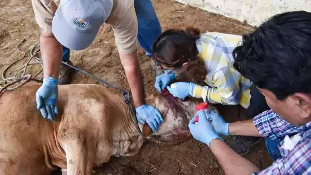 Aún está por sentirse la repercusión económica por cierre de exportación, dice organización.