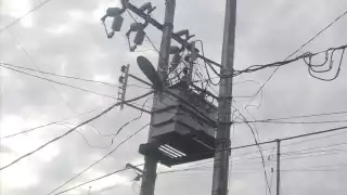 Paloma causa apagón en dos colonias de Sabancuy