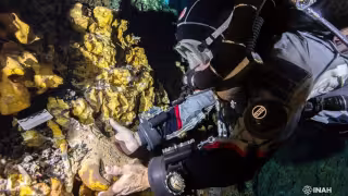 Proyecto Espeleológico Tulum alerta sobre daños en cuevas protegidas