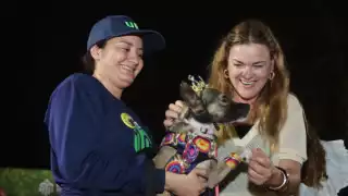 Carnaval de Mérida 2025 ya tiene a sus primeros reyes perrunos