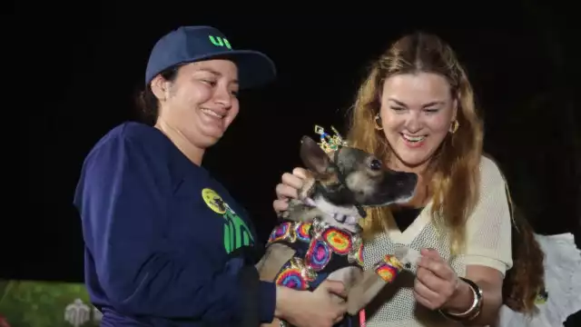 La Alcaldesa invita a ser parte del Carnaval, que promueve el cuidado ambiental y el bienestar animal