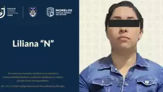 Astá acusada de delincuencia organizada y tráfico de grogas.