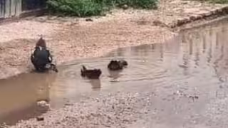Lluvias provocan encharcamientos en algunas calles de la ciudad de José María Morelos